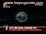 2011 Metalik Tavşan Yılı