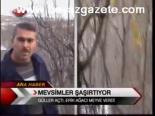 Mevsimler Şaşırtıyor