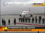 Diyarbakır'da Gül Coşkusu