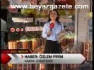 Bitkiler Her Zaman Şifa Değil
