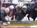 Hamsi Festivali