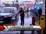 Jandarma Bile Şaşırdı