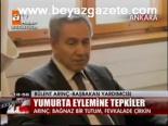 Yumurta Eylemine Tepkiler