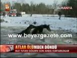 soguk hava dalgasi - Atlar ölümden döndü Videosu