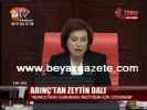 basbakan yardimcisi - Arınç'tan Zeytin Dalı Videosu