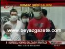 domuz gribi virusu - Dsö: Salgın Abartıldı Videosu