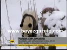 cin - Panda Diplomasisi Videosu