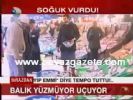 zam silinecek - Balık Yüzmüyor Uçuyor Videosu