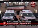 Pancar Toplamaya Gittiler
