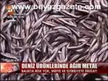 Deniz Ürünlerinde Ağır Metal