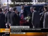 Dünya Orman Günü
