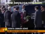 Dünya Orman Günü