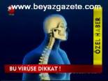 Bu Virüse Dikkat!