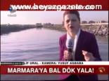 Marmara'ya Bal Dök Yala