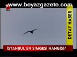 İstanbul'un Simgesi Hangisi?