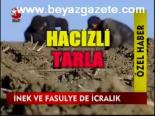 İnek Ve Fasulye De İcralık