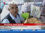 Mevsimlik Tarım İşçileri