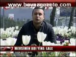 Mevsimin Adı Yine: Lale