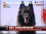 Anti - Terör Köpekleri