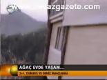 Ağaç Evde Yaşam