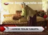 Adrese Teslim Yumurta