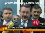 Baykal'a Cevap