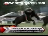 Rodeocular Uruguay'da Buluştu