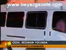 Çiçek, Erzurum Yolunda