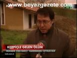 Kerpiçle Gelen Ölüm