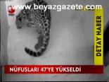 Nüfusları 47'ye Yükseldi