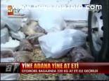 Yine Adana Yine At Eti