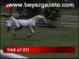 Yine At Eti