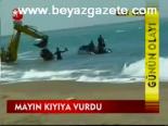 Mayın Kıyıya Vurdu