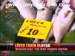 Lüfer Balığı Tarih Oluyor