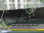 Muğla'da Kurtarma Rezaleti