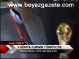 Dünya Kupası Türkiye'de