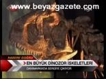 En Büyük Dinazor İskeletleri