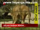 Aslan Babam Benim...