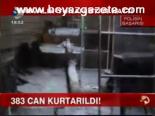 383 Can Kurtarıldı