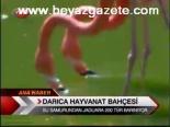 Darıca Hayvanat Bahçesi