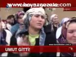 Umut Gitti