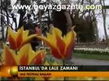 İstanbul'da Lale Zamanı