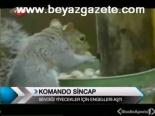 Komando Sincap Bütün Engelleri Aşıyor
