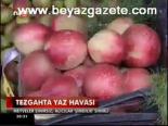 Tezgahta Yaz Havası
