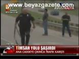Timsah Yolu Şaşırdı