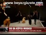 Bu Da Köpek Modası