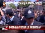 Baykal'a Yumurta Koruması