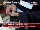 Eyvah, Yine İcat Etti