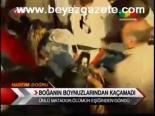 Boğanın Boynuzlarından Kaçamadı