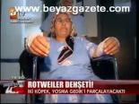Rotweiler Dehşeti